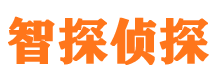 河西侦探公司